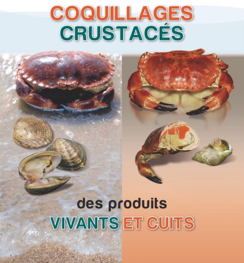grossiste-crustace-fournisseur-coquillage